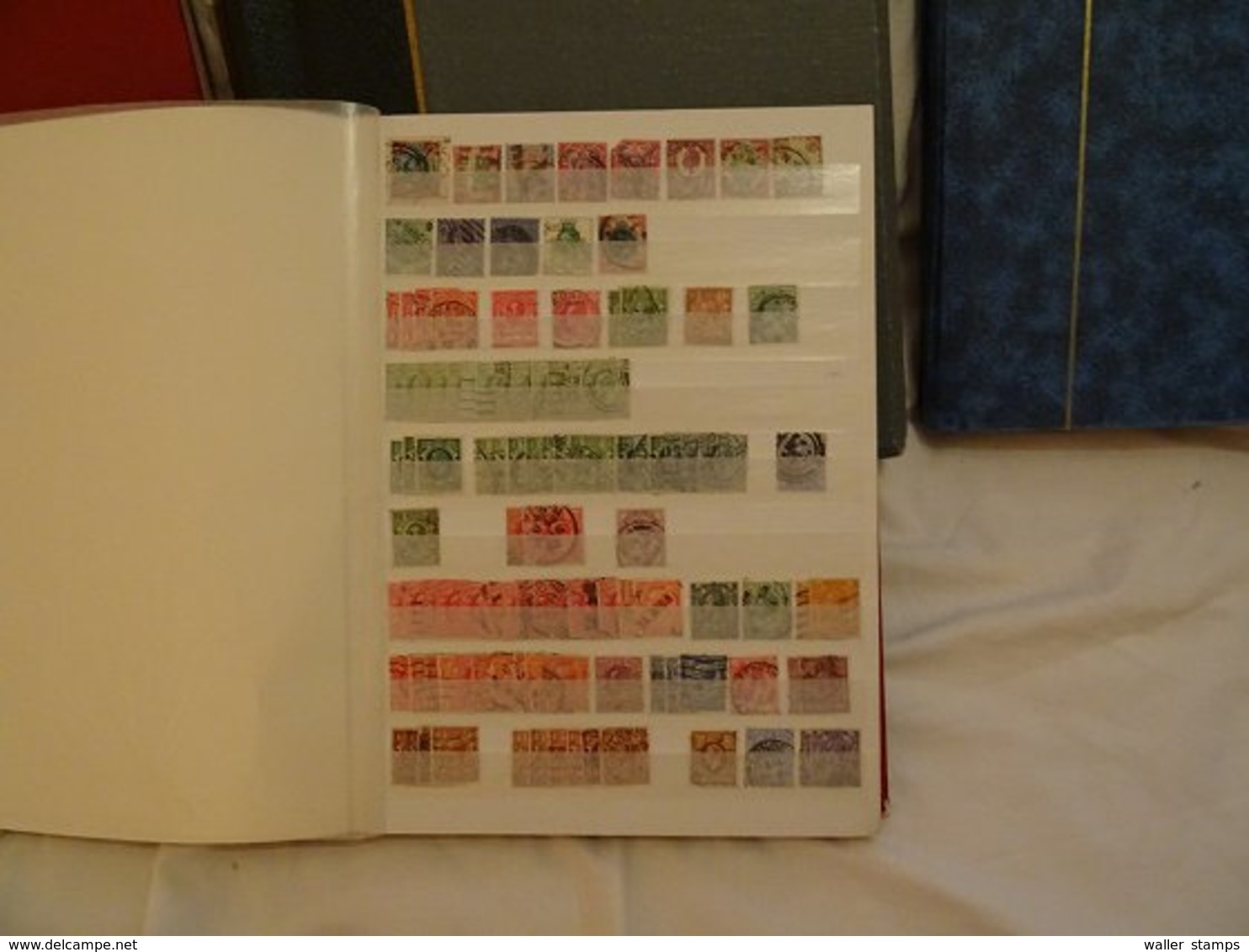 Lot With World Stamps In Albums