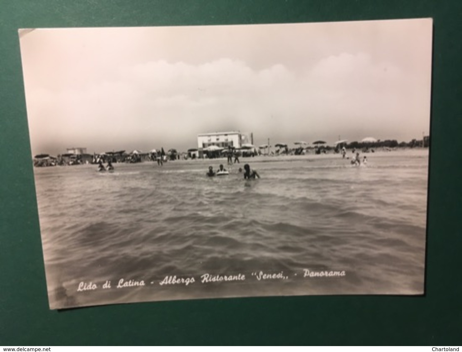 Cartolina Lido Di Latina - Albergo Ristorante Senesi - Panorama - 1961 - Latina