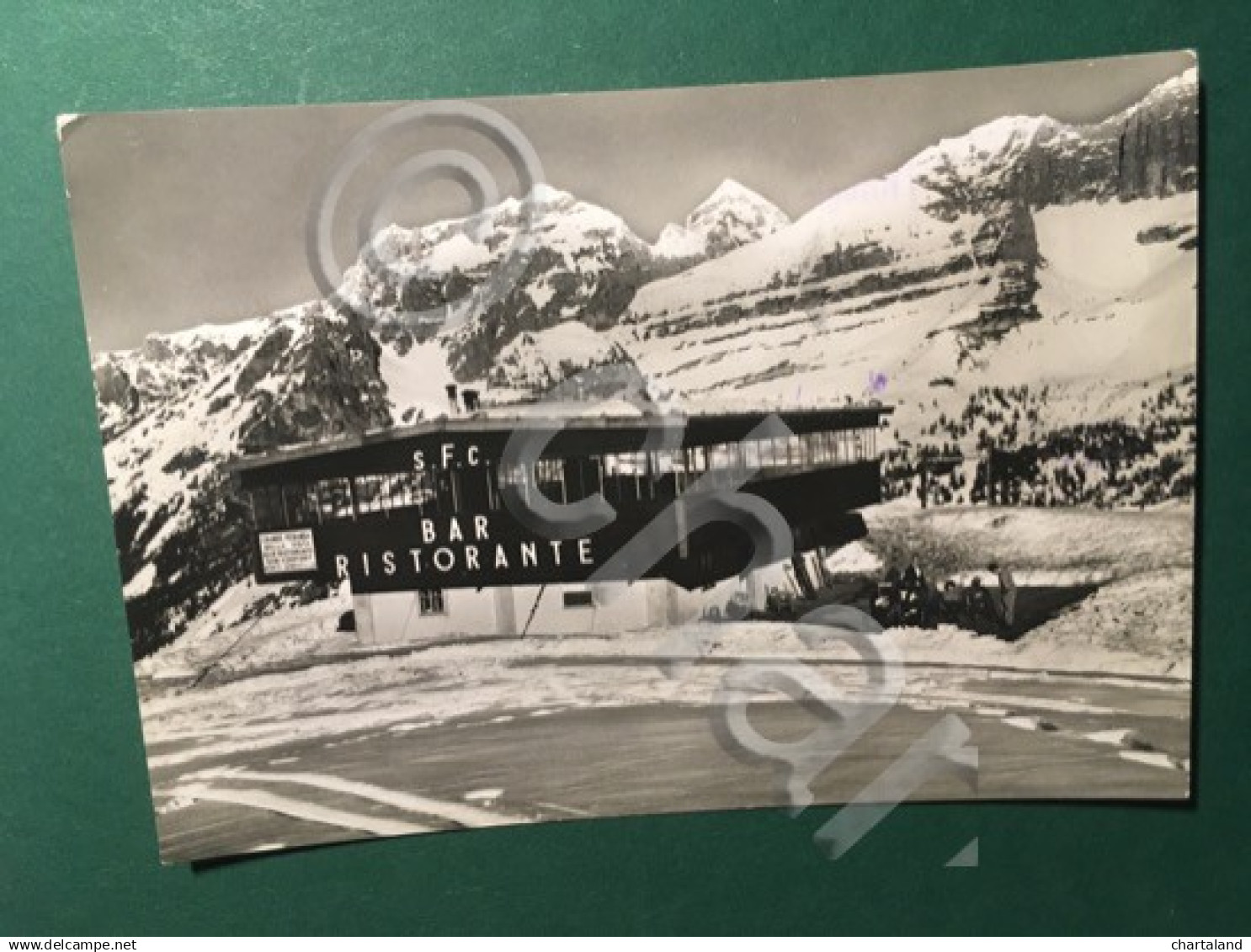 Cartolina Rifugio - Bar Ristorante Monte Spinale - Dolomiti Di Brenta - 1953 - Trento