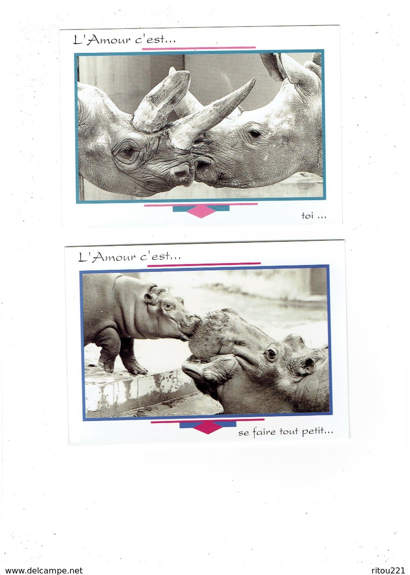 Lot 2 Cpm Humour - Rhinocéros - L'amour C'est ... Se Faire Tout Petit - Toi - - Rhinocéros