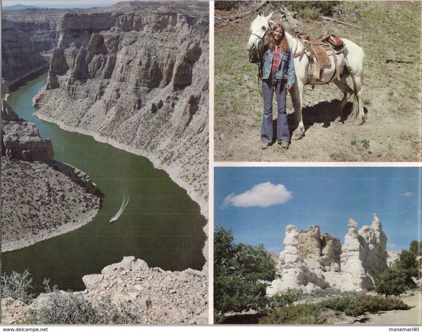 WYOMING (U.S.A.) - GUIDE TOURISTIQUE - Sonstige & Ohne Zuordnung