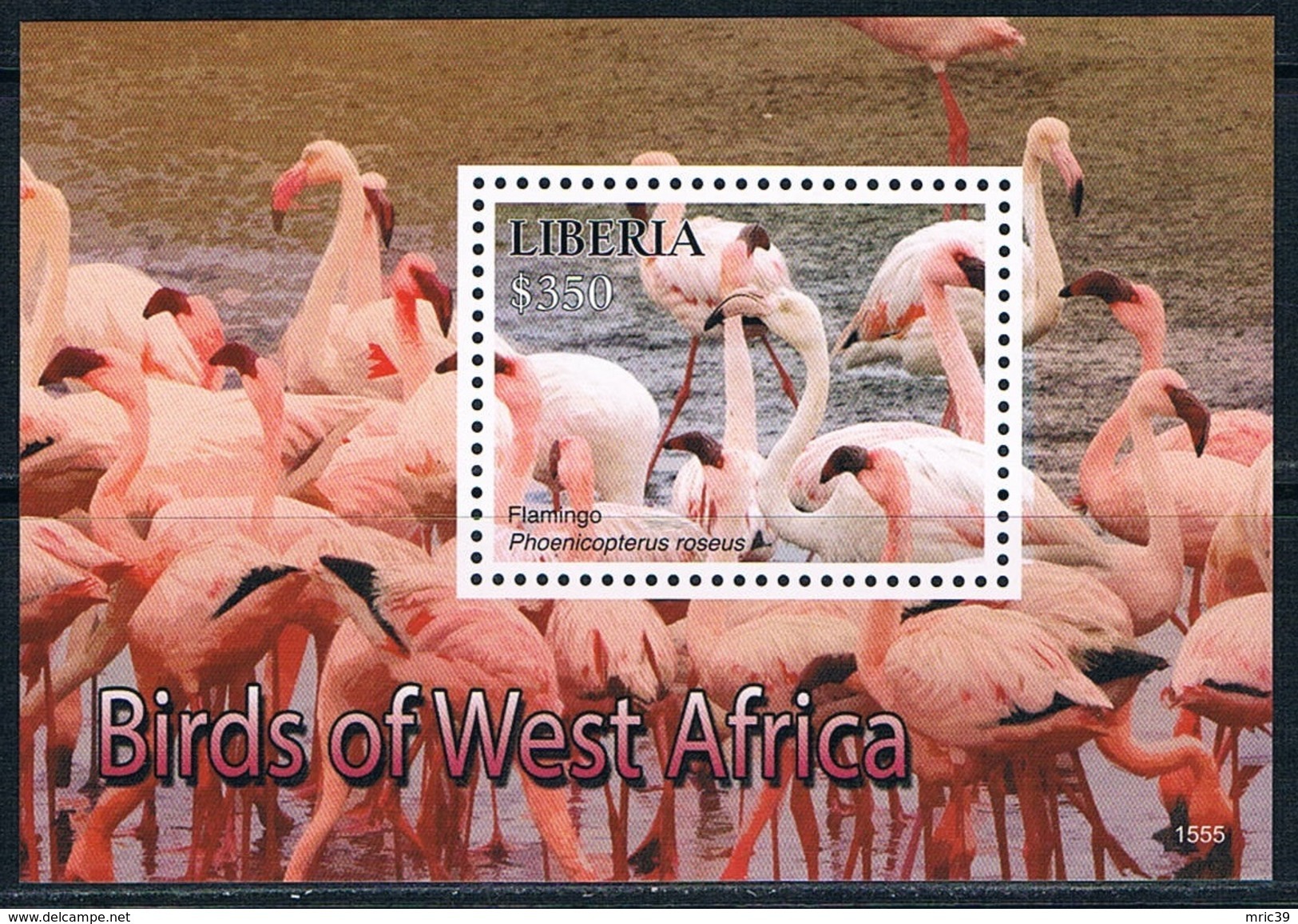 Bloc Sheet  Oiseau Flamants  Birds  Flamingos Neuf ** MNH  Liberia 2015 - Flamingo