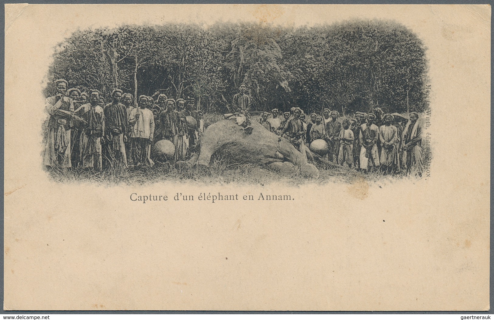 Französisch-Indochina: 1904/1906, Assortment Of 54 Different Ppc, Depicting Street Scenes, Local Mar - Briefe U. Dokumente