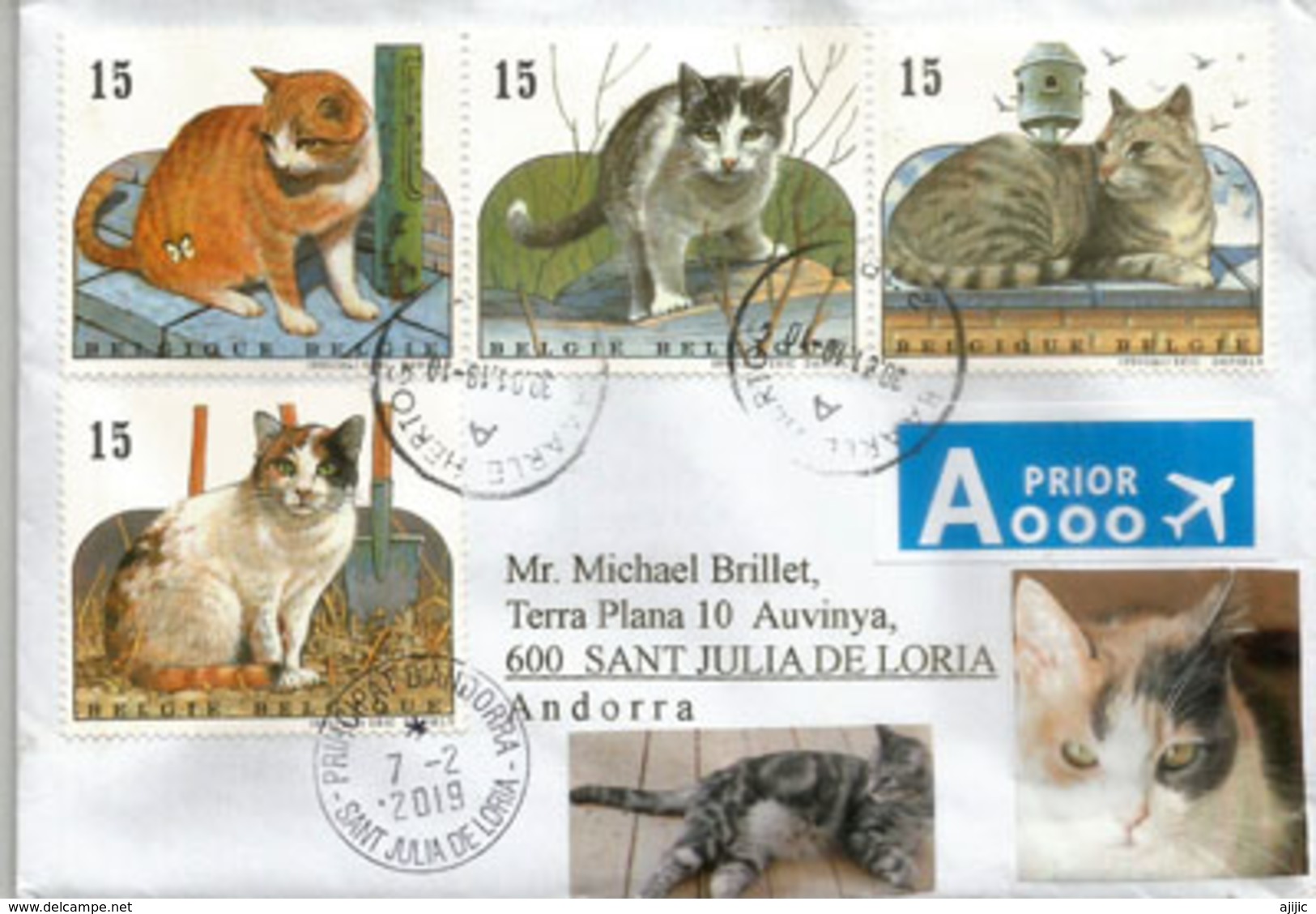 Série Chats Européens, Belle Lettre De Belgique, Adressée Andorra, Avec Timbre à Date Arrivée - Chats Domestiques