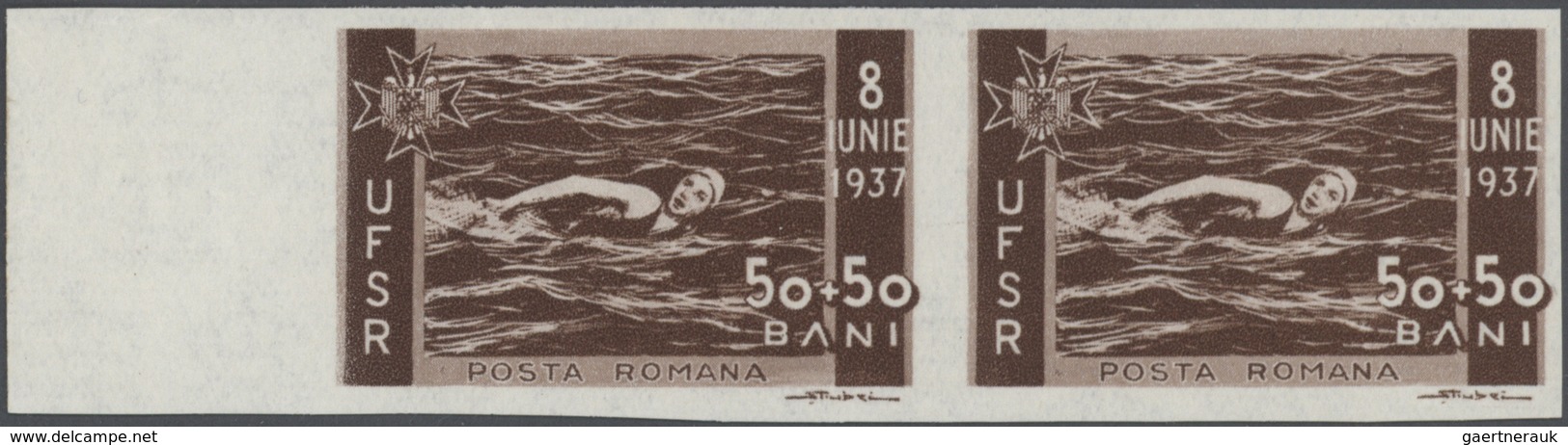 Thematik: Sport-Wassersport / sport-water sports: 1880/1980 (ca.), SWIMMING/WATER SPORTS, extraordin