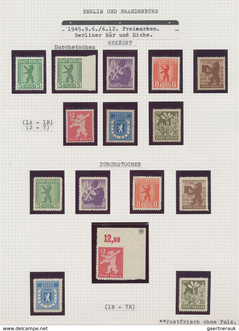 Sowjetische Zone: 1945/1949, Postfrische Sammlung Auf Albenblättern, Dabei Bären-Ausgabe MiNr. 1/7 B - Sonstige & Ohne Zuordnung