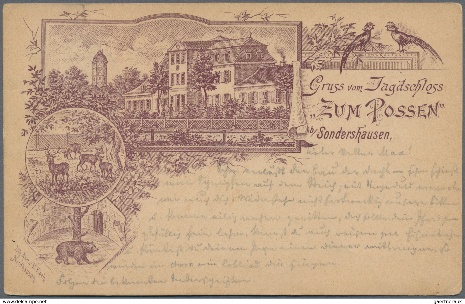 Ansichtskarten: Deutschland: VORLÄUFER/EREIGNIS/KOLONIEN, 1892/1906, Feines Lot Mit 12 Karten, Dabei - Other & Unclassified