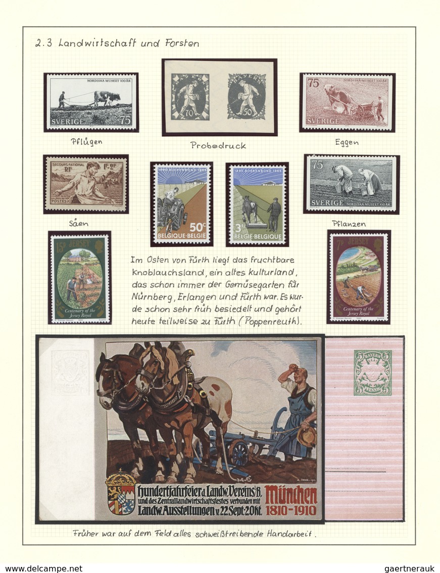 Heimat: Bayern: FÜRTH: 1818/1960 (ca.), Thematische Heimatsammlung Mit Besseren Marken, Einigen Priv - Sonstige & Ohne Zuordnung