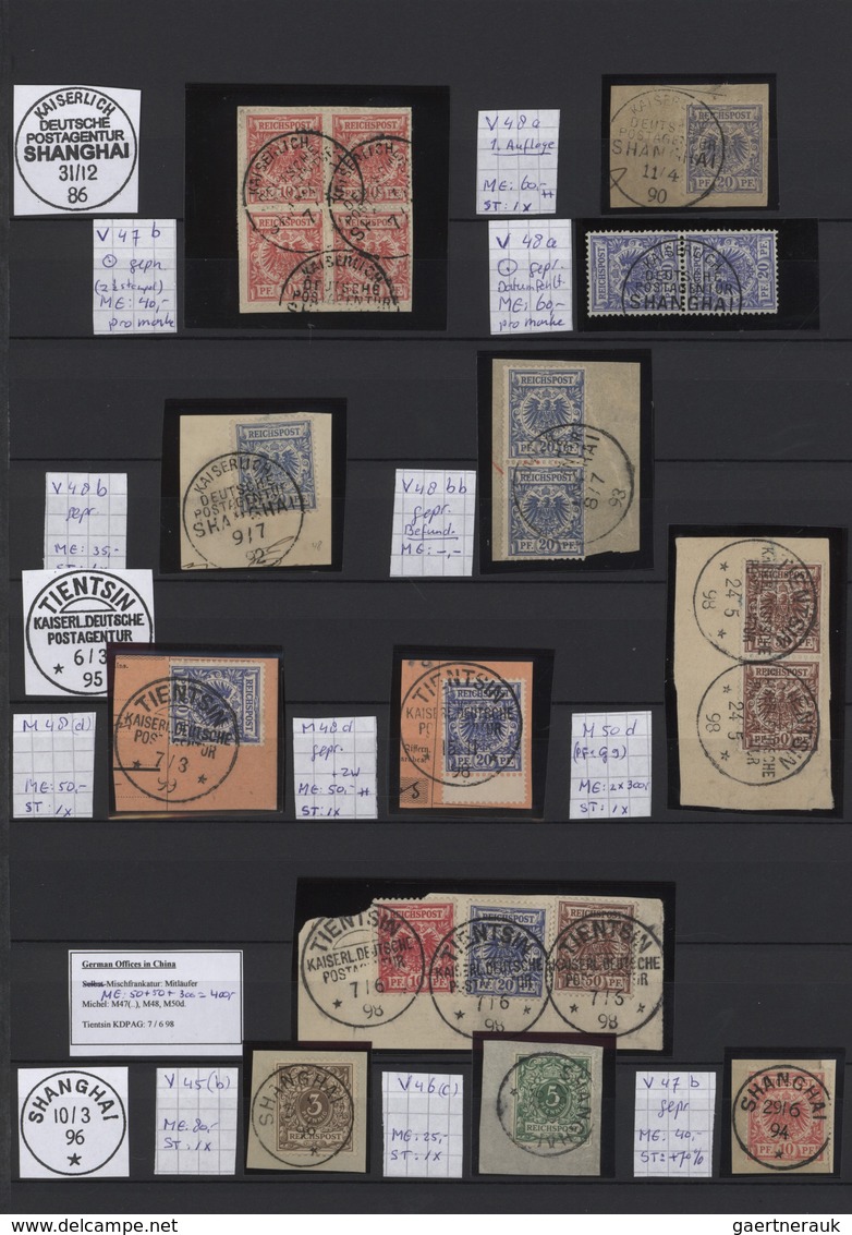 Deutsche Post In China: 1890/1919, Eine Umfangreiche Und Stark Spezialisierte Sammlung In Postfrisch - China (offices)