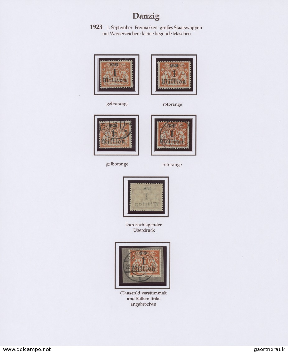 Danzig: 1862-1939: Umfangreiche Spezialsammlung In 6 Alben, Sauber Mit Detailierten Beschreibungen A - Other & Unclassified