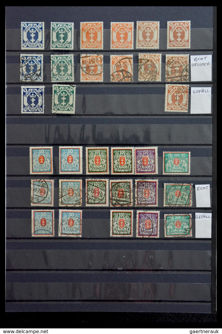 Danzig: 1920-1939: Well Filled, MNH, Mint Hinged And Used Collection Danzig 1920-1939 In Stockbook, - Altri & Non Classificati