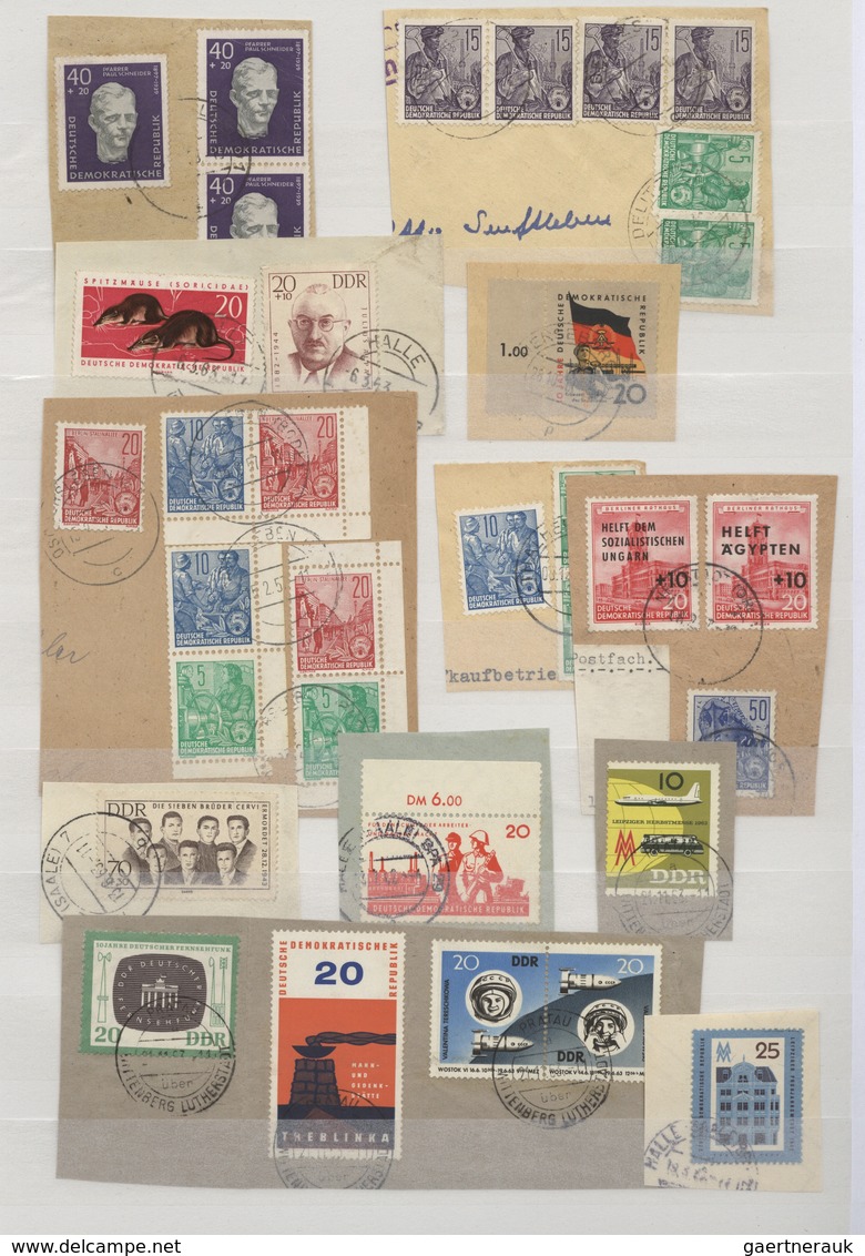 DDR: 1950/1963, Sammlungspartie Von Ca. 650 Marken Fast Ausschließlich Auf Briefstück Und Meist Mit - Collections