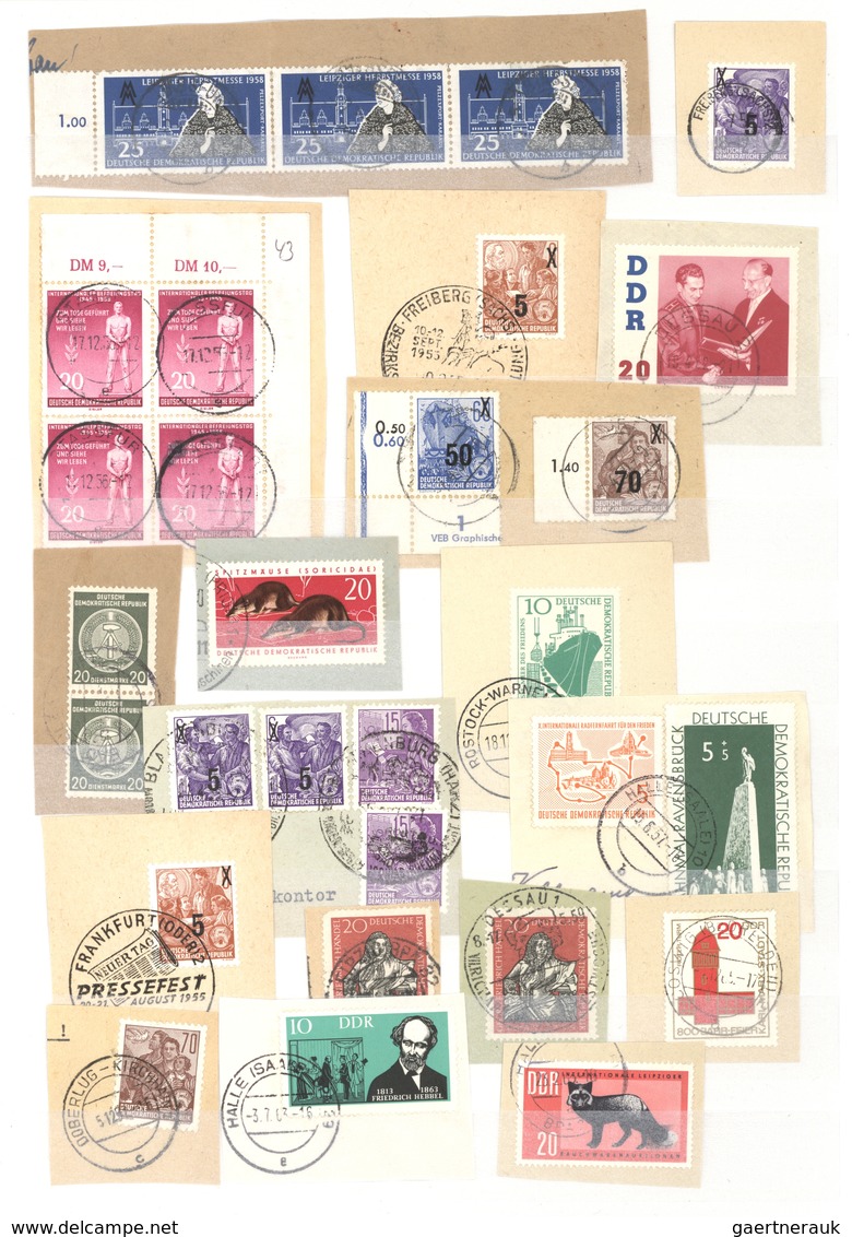 DDR: 1950/1963, Sammlungspartie Von Ca. 650 Marken Fast Ausschließlich Auf Briefstück Und Meist Mit - Sammlungen