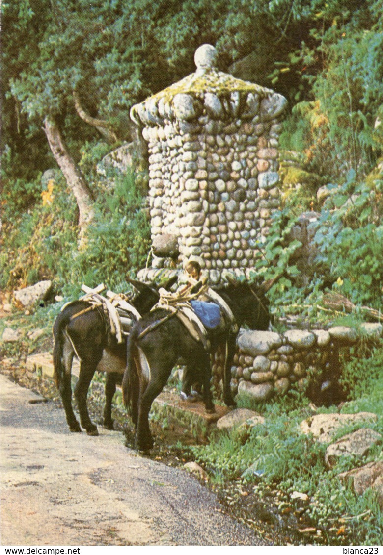 B56095 Route Piana à Porto - La Fontaine - Autres & Non Classés