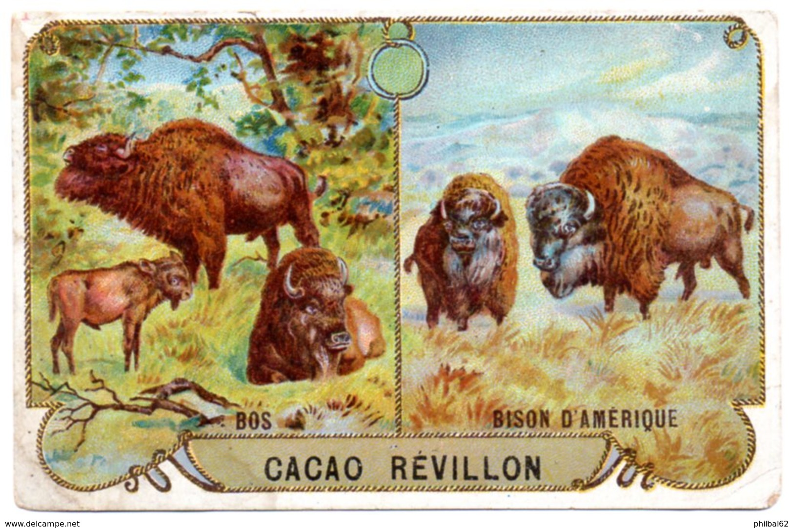 Chromo Didactique Révillon. Le Bos Et Le Bison - Revillon
