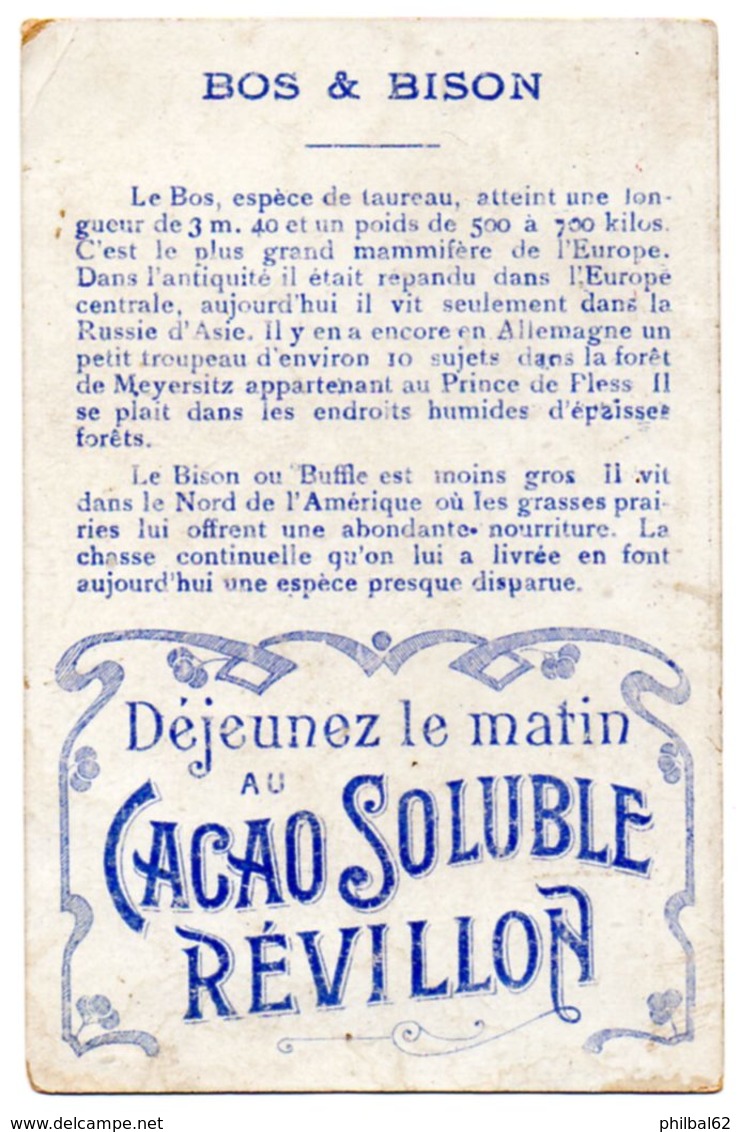 Chromo Didactique Révillon. Le Bos Et Le Bison - Revillon