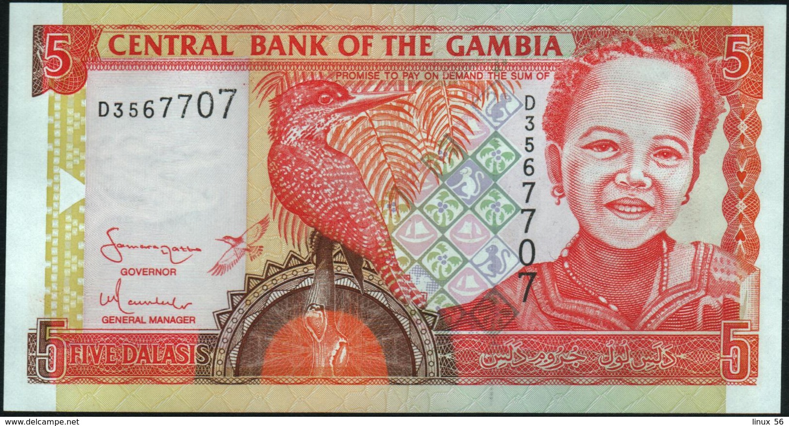 GAMBIA - 5 Dalasis Nd.(2001 - 2005) UNC P.20 C - Gambie