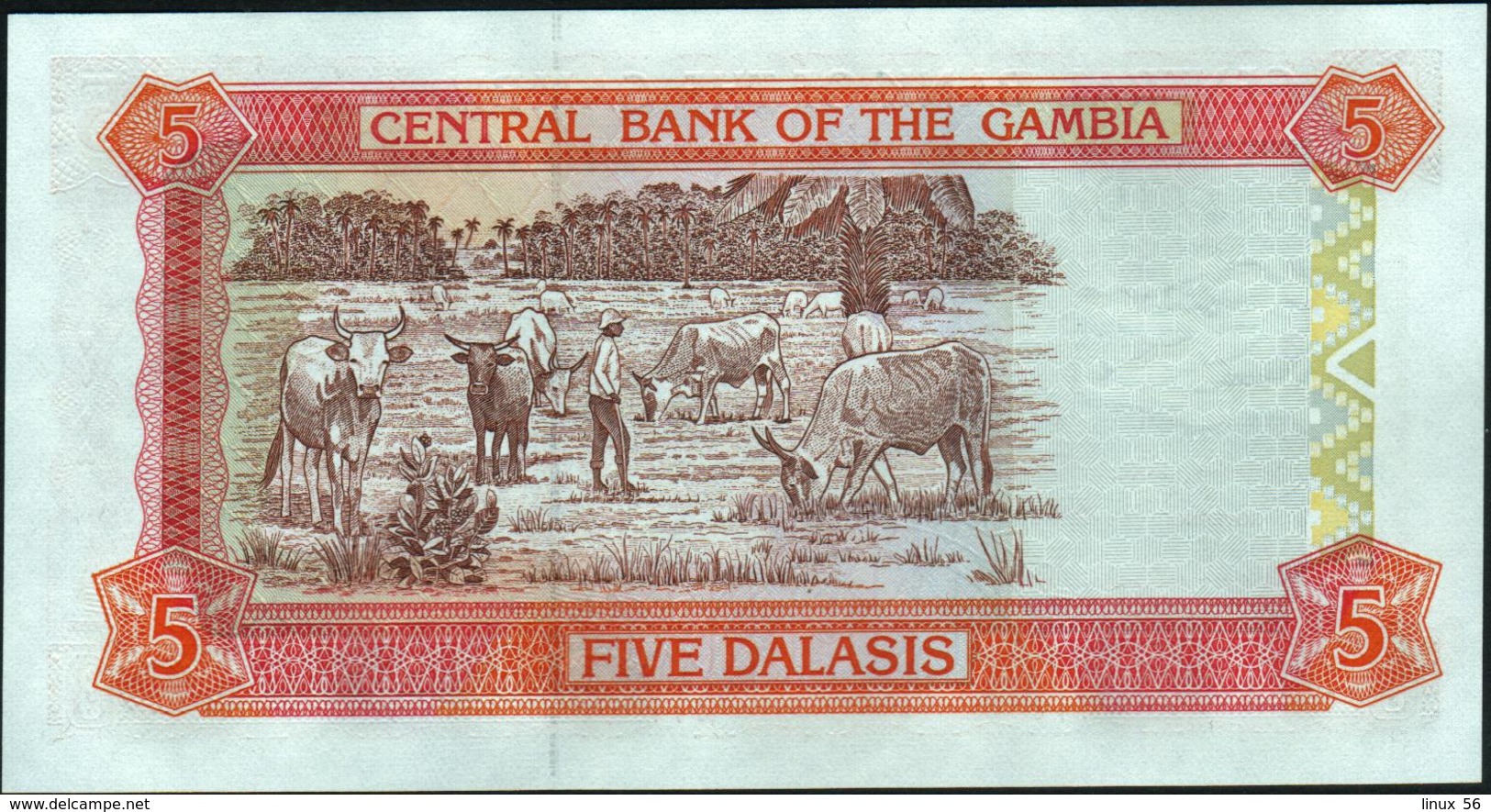 GAMBIA - 5 Dalasis Nd.(2001 - 2005) UNC P.20 C - Gambie