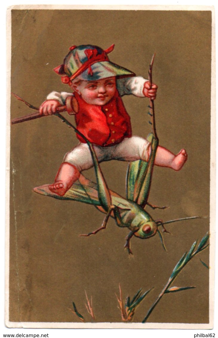 Chromo Insecte Et Enfant. Sauterelle. - Revillon