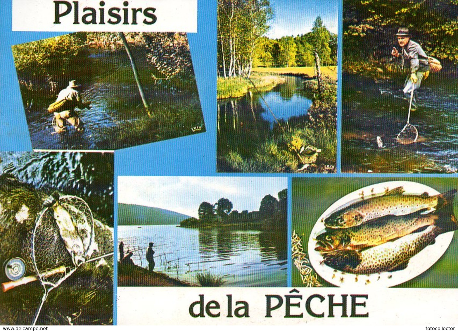 Plaisirs De La Pêche - Pêche