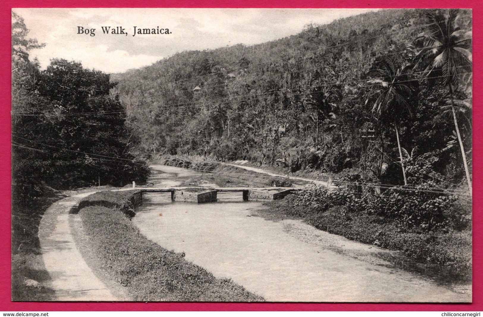 Jamaica - Jamaique - Bog Walk - Edit. J.W. CLEARY - Jamaïque