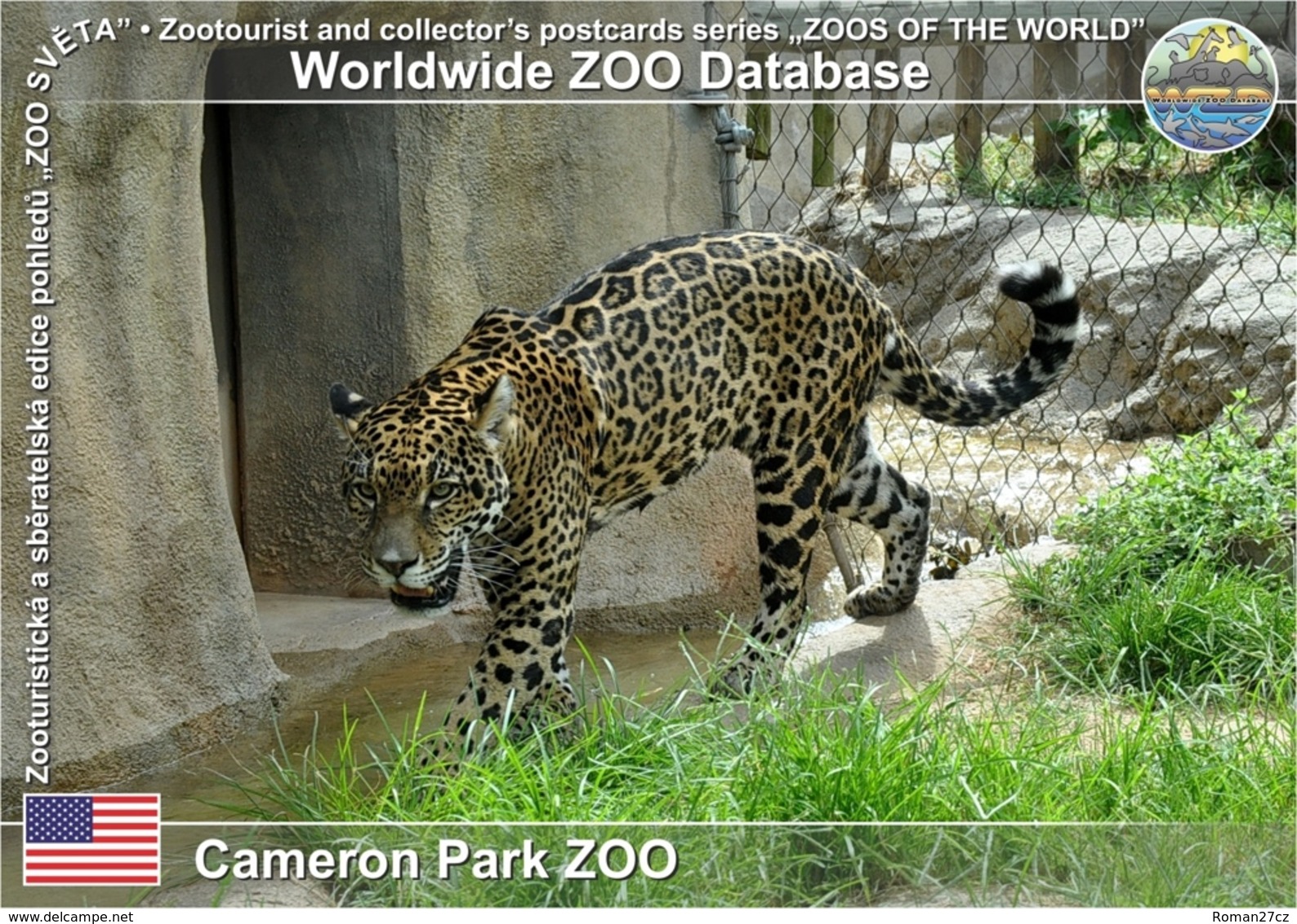 734 Cameron Park ZOO, US - Mexican Jaguar (Panthera Onca Hernandesii) - Waco