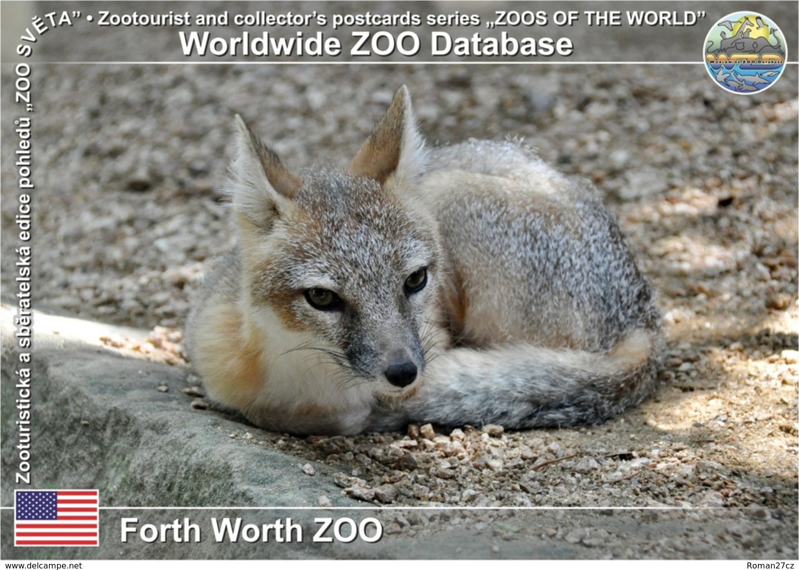 735 Forth Worth ZOO, US - Swift Fox (Vulpes Velox) - Fort Worth