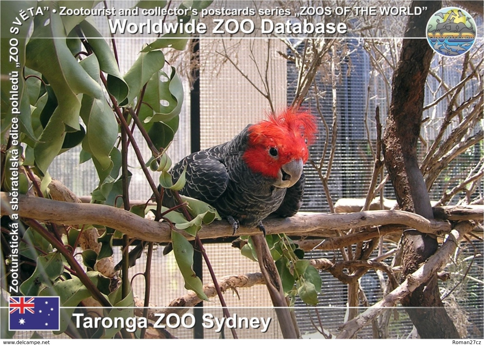 742 Taronga ZOO Sydney, AU - Gang-gang Cockatoo (Callocephalon Fimbriatum) - Sydney