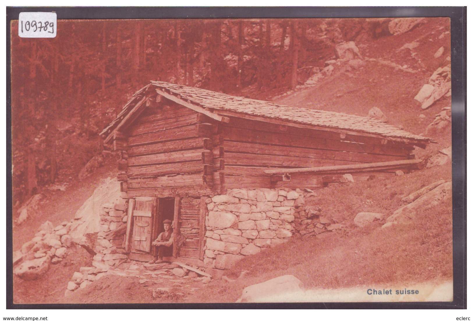 CHALET DANS LES ALPES SUISSES - TB - Autres & Non Classés