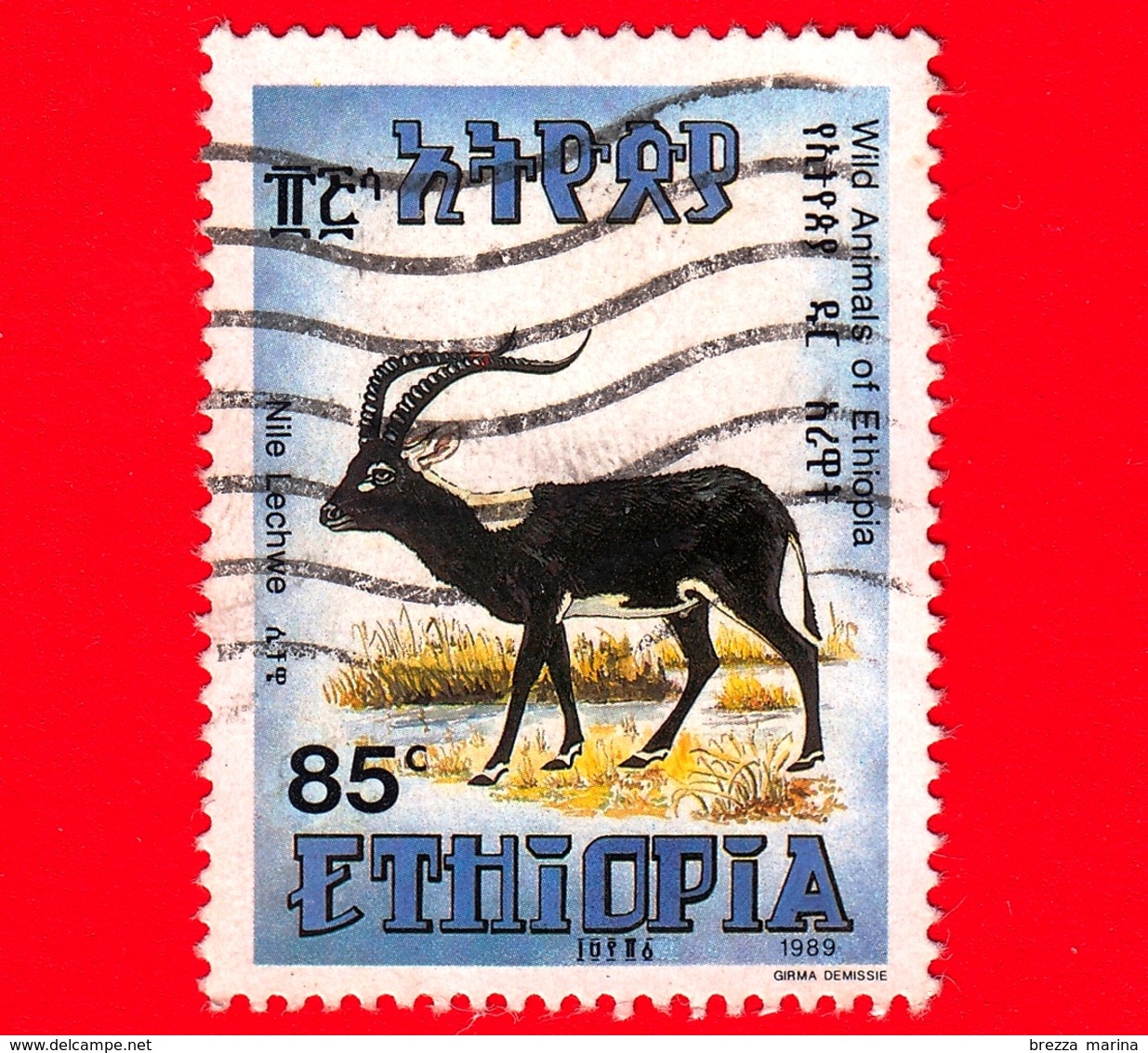 ETIOPIA - Usato - 1989 - Fauna Selvatica - Lichi Del Nilo - Antilope - Kobus Megaceros - 85 - Etiopia