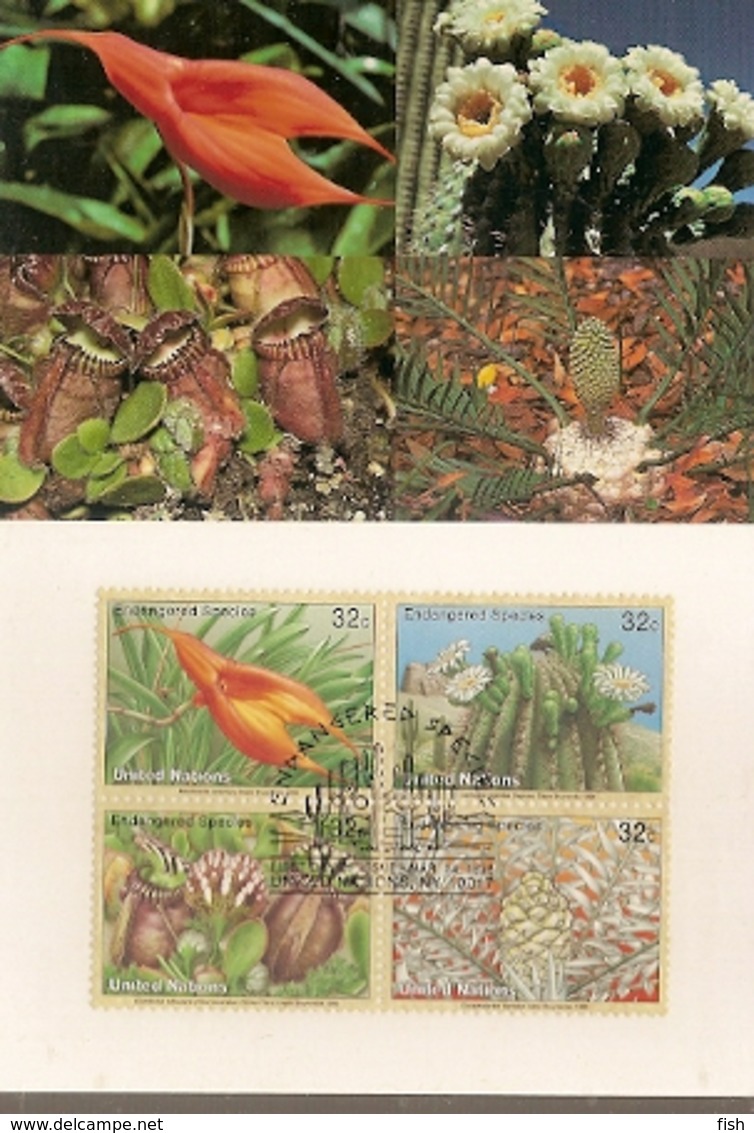 United Nations & Maxi, Vereinte Nationen, Flora, Flowers, Endangered Species, UNO  New York 1996 (159) - Covers & Documents