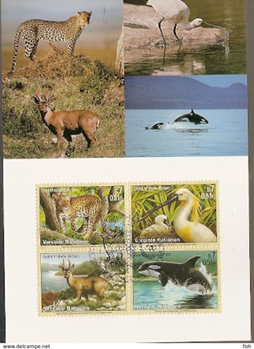 United Nations & Maxi, Vereinte Nationen, Endangered Species, Fauna, Animals, UNO  New York 2000 (149) - Briefe U. Dokumente