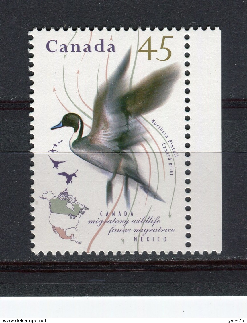 CANADA - Y&T N° 1424** - Faune Migratrice - Oiseau - Canard Pilet - Neufs