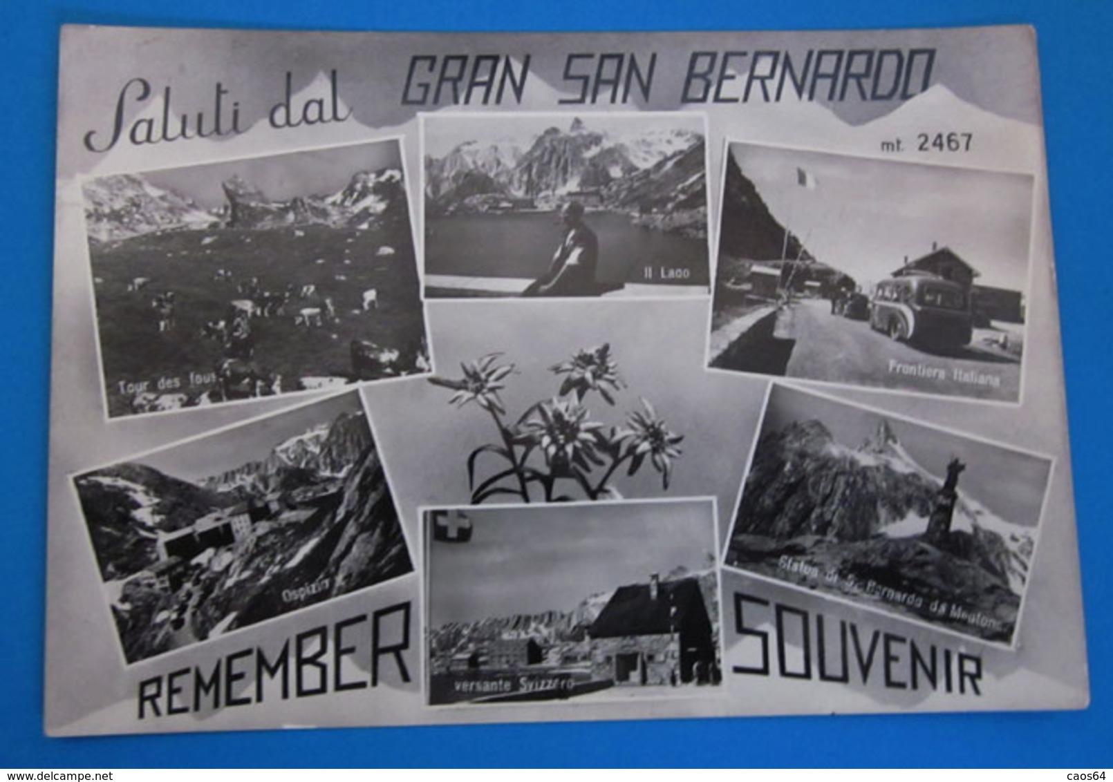 Gran San Bernardo Vedute Saluti Da  Cartolina Valle D'Aosta 1953 - Altri & Non Classificati