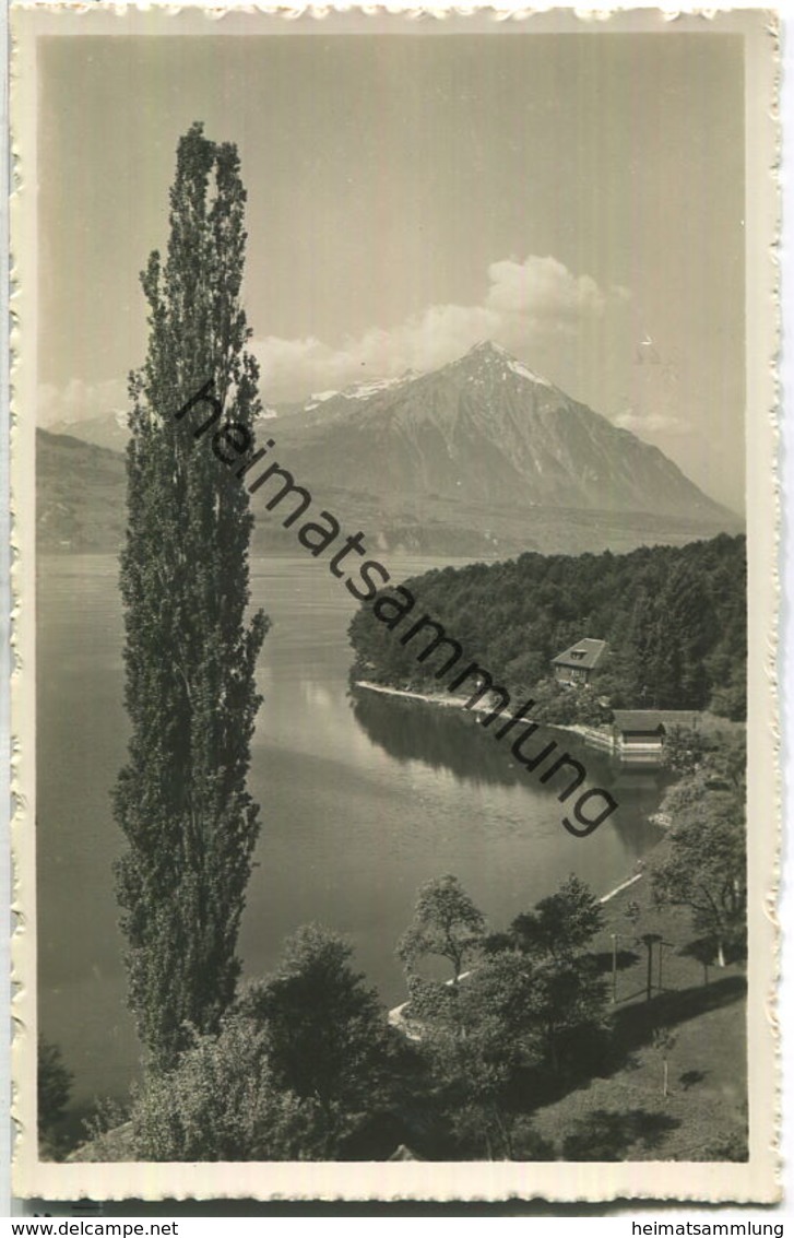 Interlaken - Thunersee Mit Niesen - Foto-Ansichtskarte - Verlag Phot. Stump & Cie. Interlaken - Interlaken