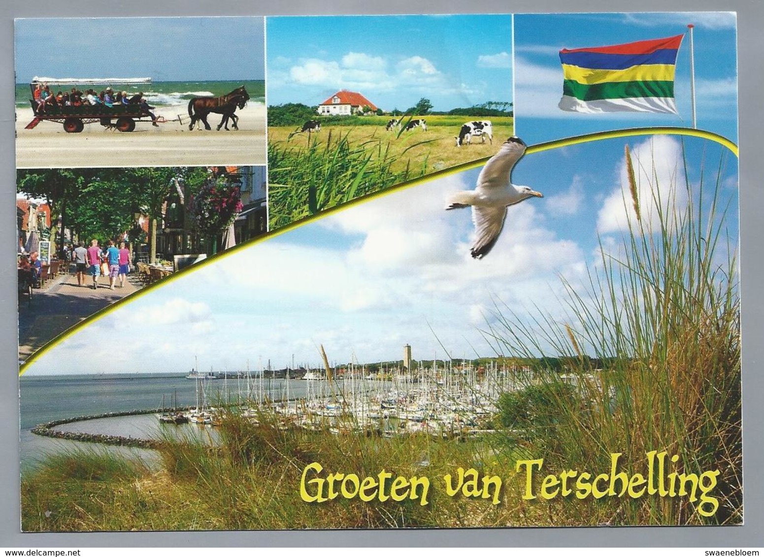 NL.- GROETEN VAN TERSCHELLING. Vuurtoren. HAVEN. MEEUW. PAARDEN. PAARD EN WAGEN. - Saluti Da.../ Gruss Aus...