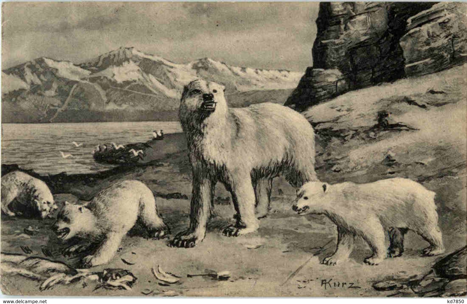 Berlin - Gruss Aus Dem Skandinavia Etablissement - Polar Bear - Sonstige & Ohne Zuordnung