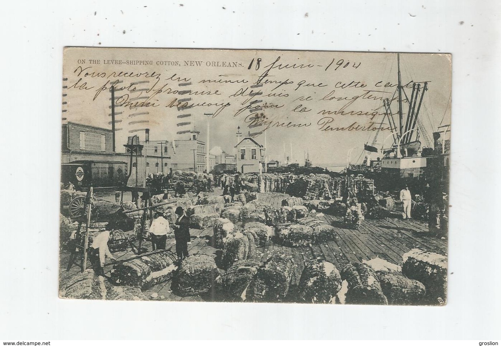 ON THE LEVEE - SHIPPING COTTON NEW ORLEANS 1004         1904 - New Orleans