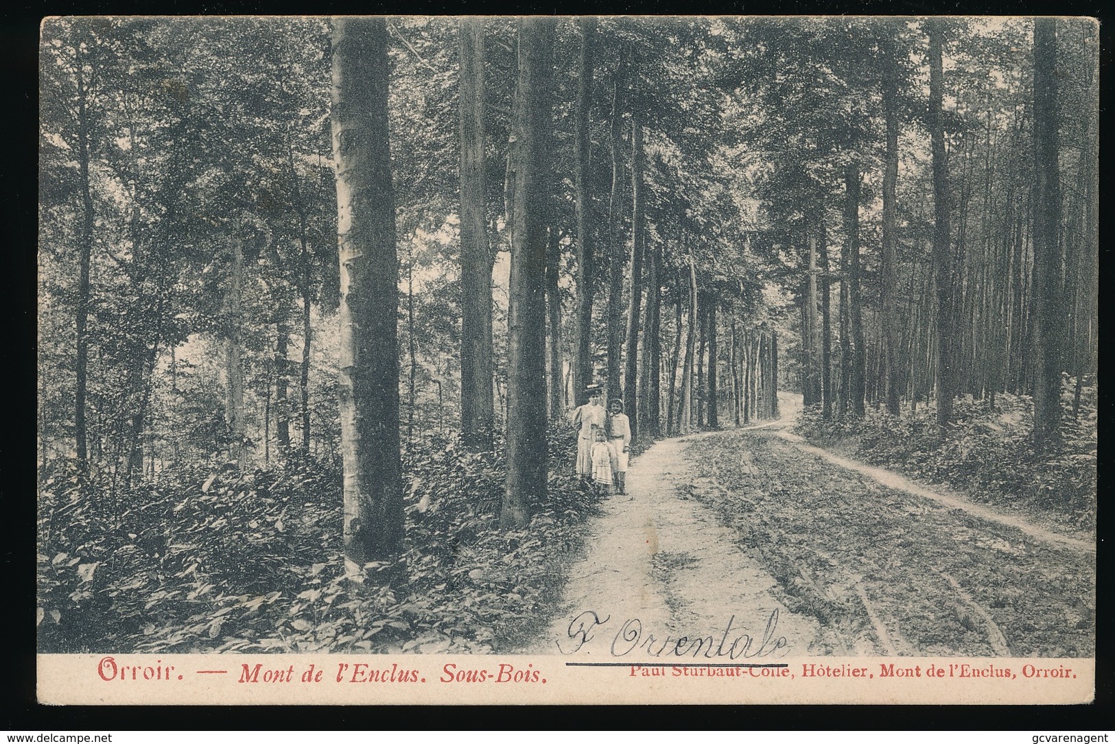 ORROIR  MONT DE L'ENCLUS  SOUS BOIS - Kluisbergen