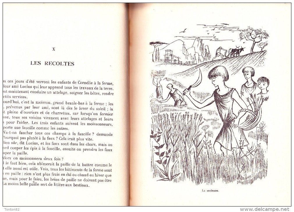 A. Deflassieux-Fitremann - CAIUS ét TIBÉRIUS ( Vie à Rome à La Fin De La République ) - Contes Et Récits - ( 1960 ) . - 6-12 Ans