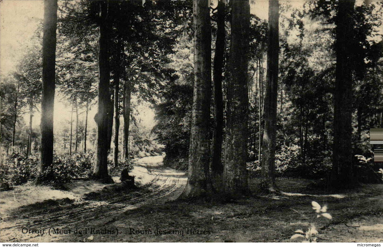 ORROIR (Mont De L'Enclus) - Route Des Cinq Hêtres - Mont-de-l'Enclus