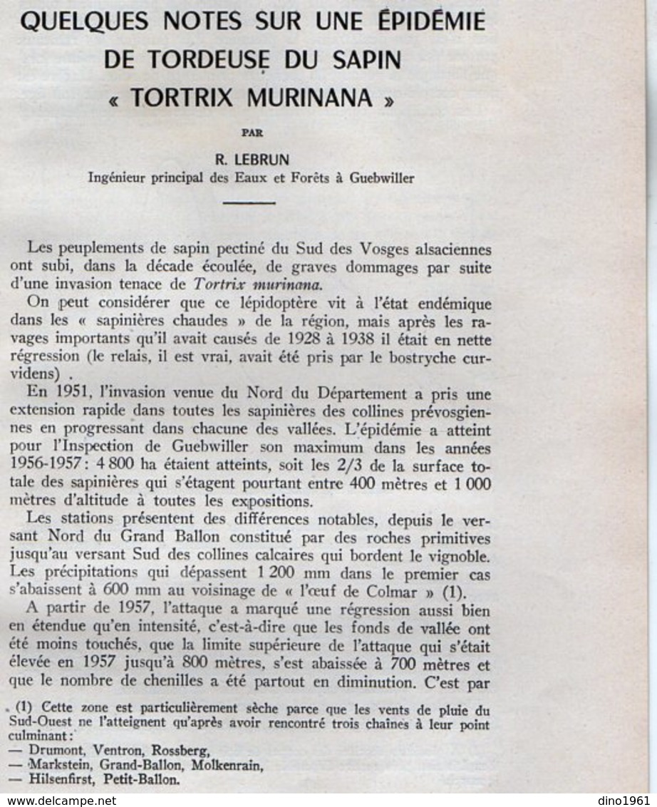 VP14.482 - Notes Sur Une Epidémie De Tordeuse Du Sapin..... Par R. LEBRUN Ingénieur Des Eaux & Fôrets à GUEBWILLER - Collections