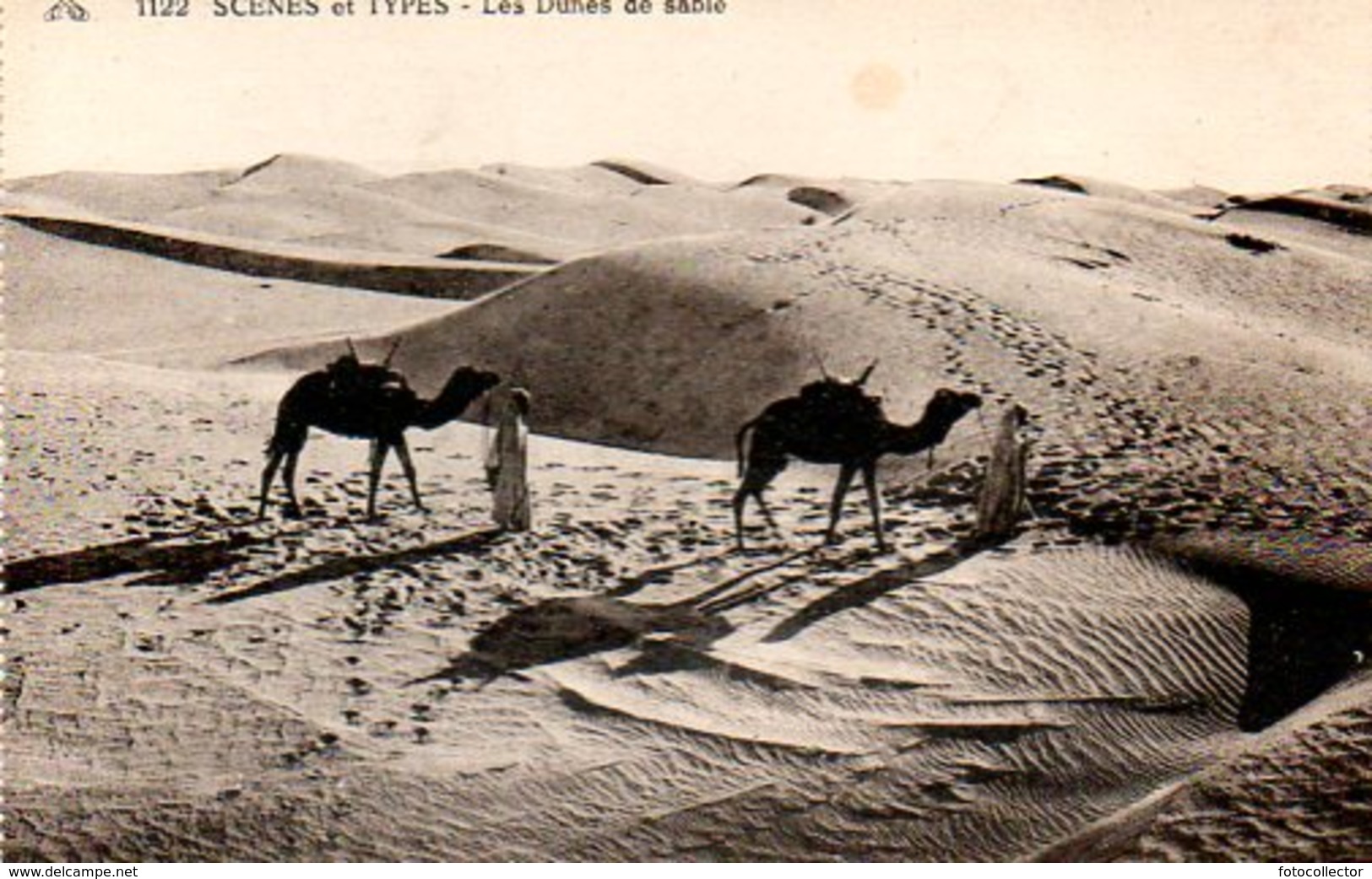 Afrique Du Nord : Dans Les Dunes De Sable - Non Classés