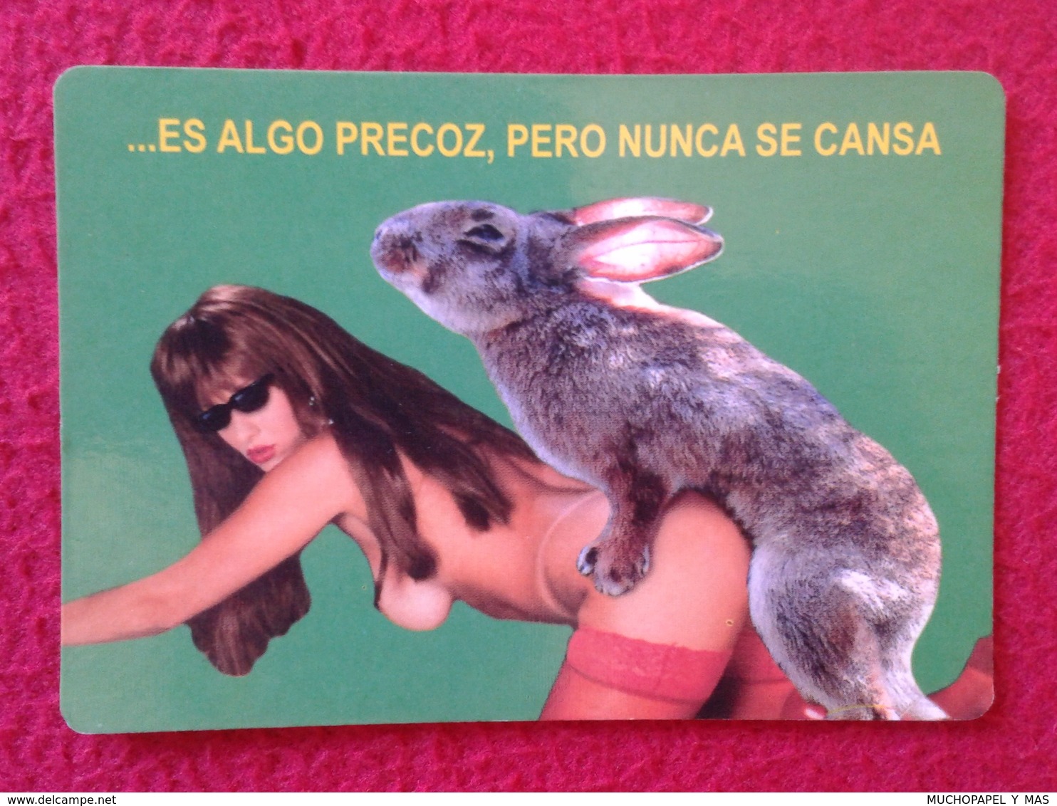 CALENDARIO DE BOLSILLO CALENDAR HUMOR HUMOUR EROTIC ÉROTIQUE ERÓTICO RABBIT LAPIN LIÈVRE HARE HASE LIEBRE CONEJO 2005 VE - Tamaño Pequeño : 2001-...