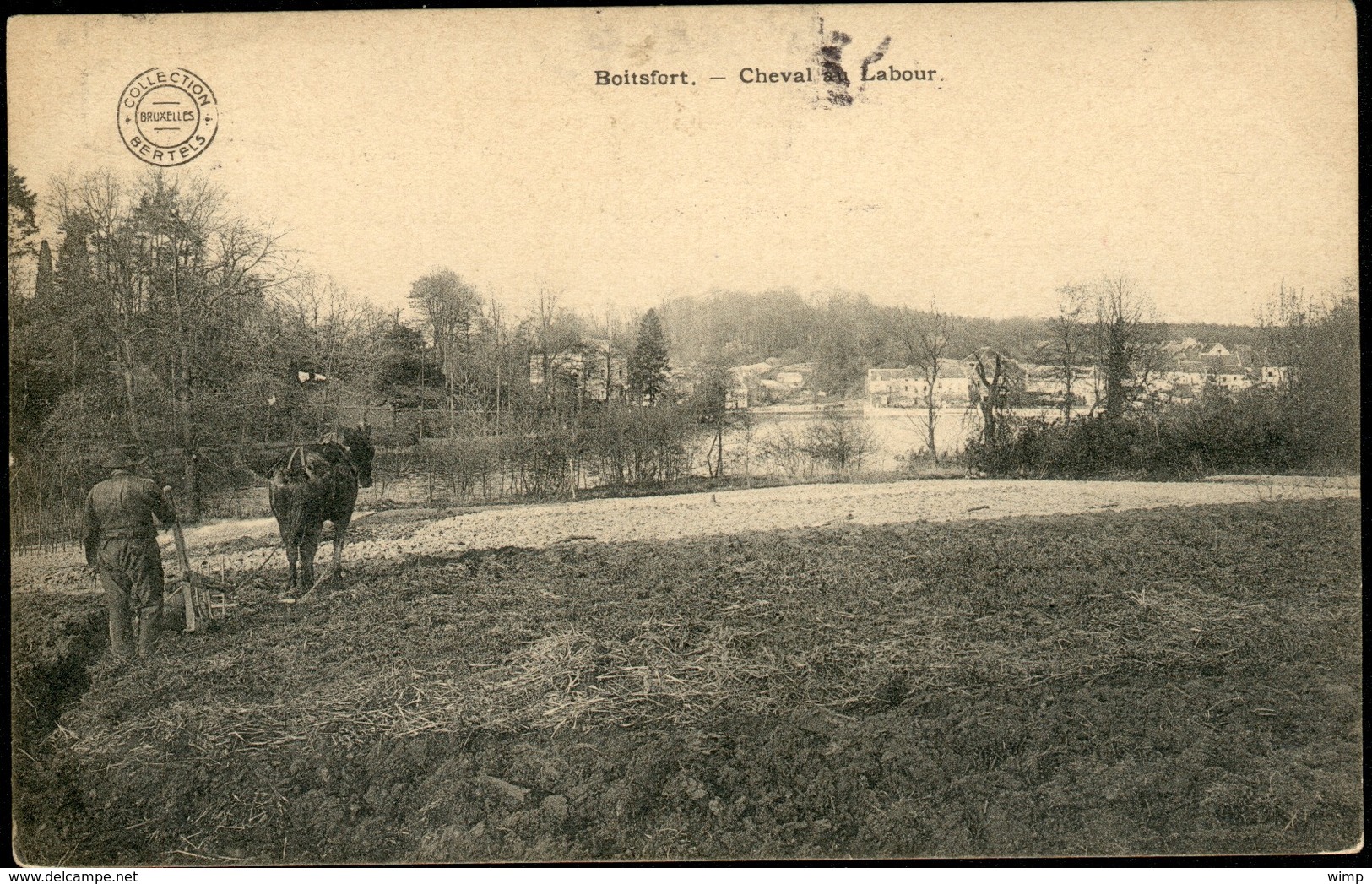 BOITSFORT :   Cheval Au Labour - Watermaal-Bosvoorde - Watermael-Boitsfort