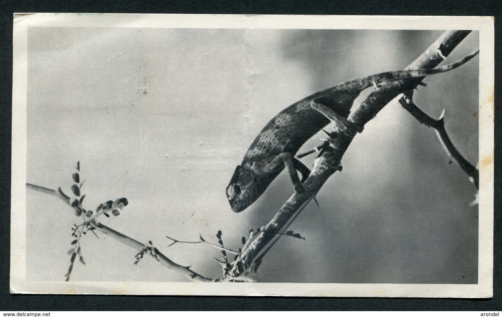 158 Et 159 / CP - Sierra Leone (...-1960)