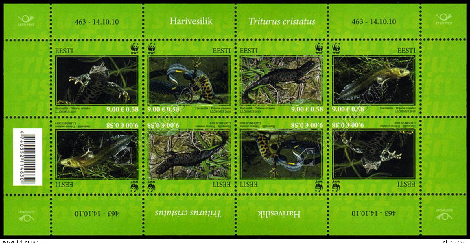 Estonia 2010: Minifoglio WWF Tritoni / WWF Newts Sheetlet ** - Nuovi