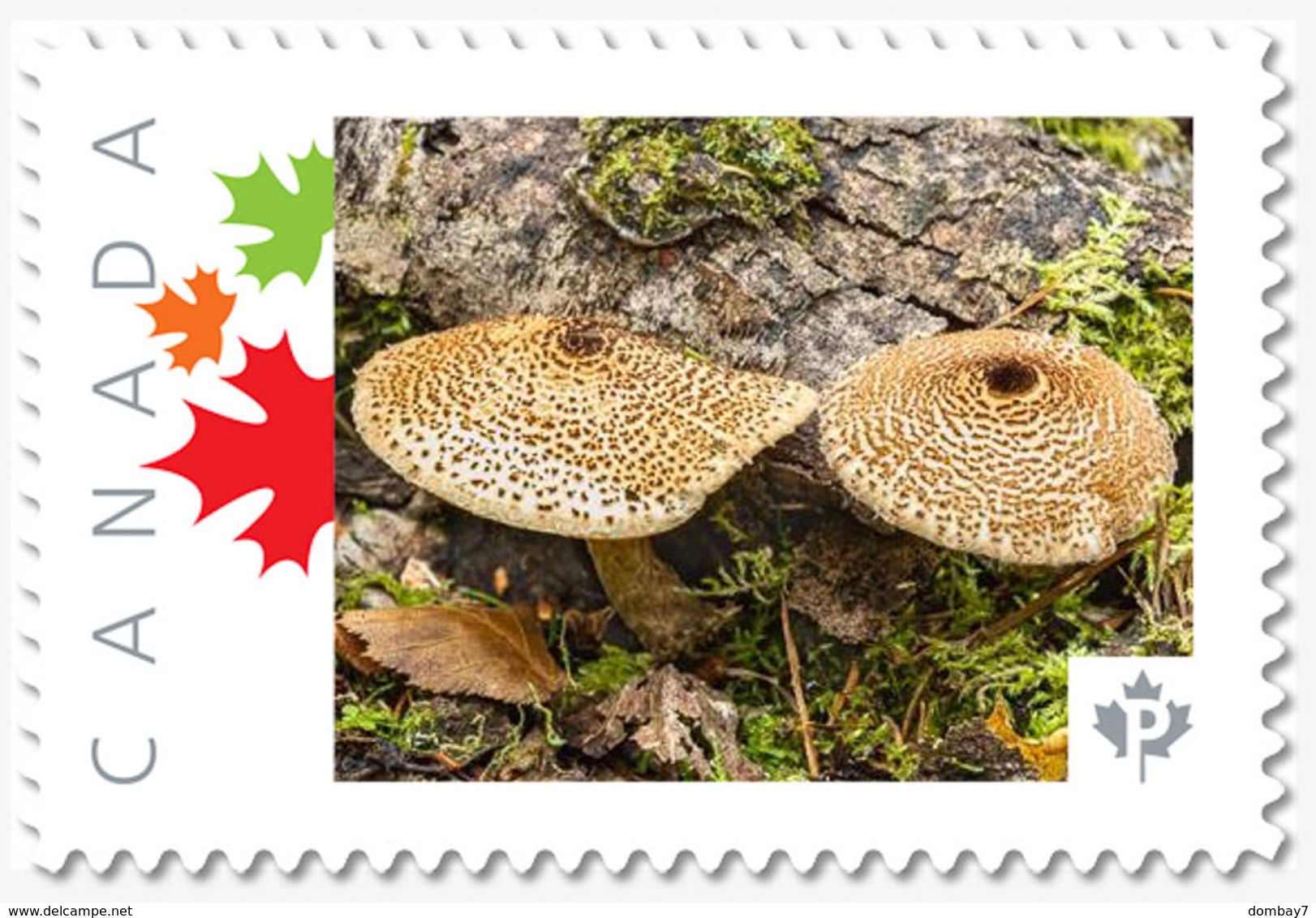 TWO MUSHROOMS = Picture Postage MNH-VF Canada 2019 [p19-01s03] - Mushrooms