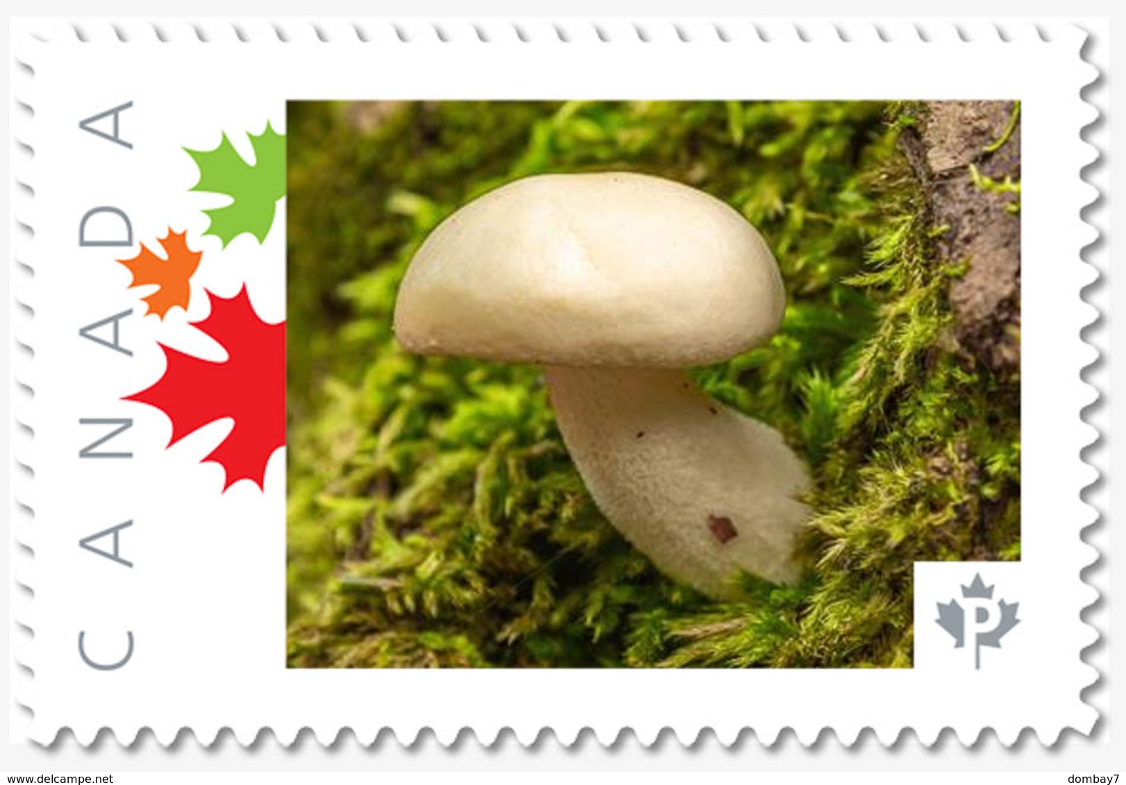 MUSHROOM On Stump = Picture Postage MNH-VF Canada 2019 [p19-01s05] - Mushrooms