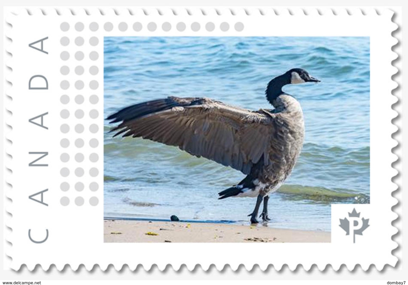 CANADA GOOSE = Waterfowl = Bird = Picture Postage MNH-VF Canada 2019 [p19-01s16] - Gänsevögel